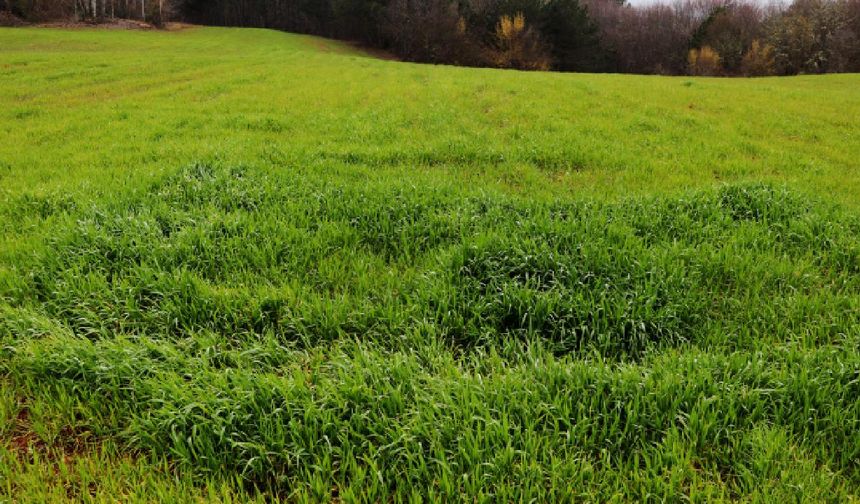 Köyüne döneceklere devletten destek kararı: İşte alacakları yardım!