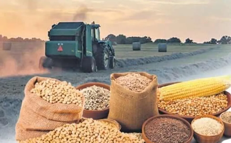Tarımsal ürün fiyatları ve endekslerde yükseliş