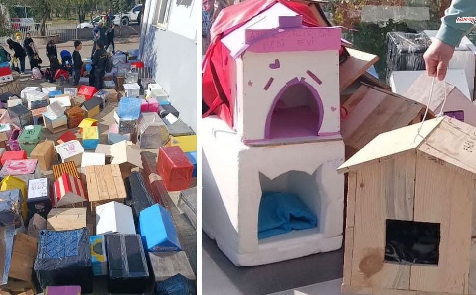 Kahramanmaraş'ta Öğretmen Sıfır Atık Projesiyle 500 Kediye Yuva Kazandırdı