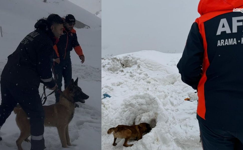 AFAD’dan Köpekli Arama Kurtarma Eğitimi