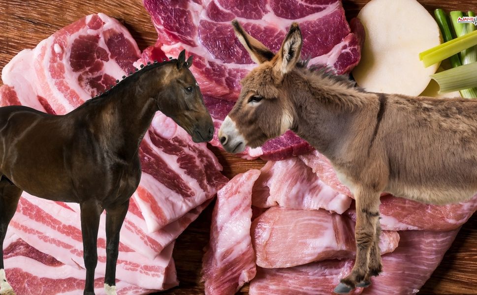 Kahramanmaraş’ta zincir market dönerinde at ve eşek eti skandalı