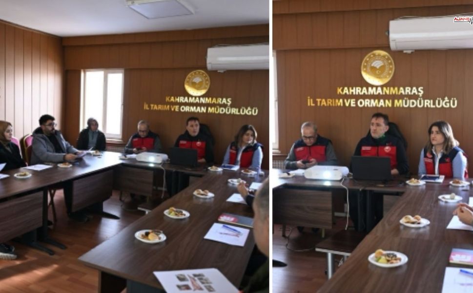 Kesimhanelerde Karkas Standardı İçin Teknik Eğitim