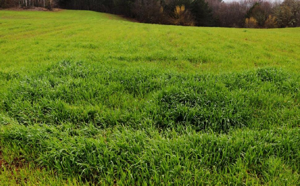 Köyüne döneceklere devletten destek kararı: İşte alacakları yardım!
