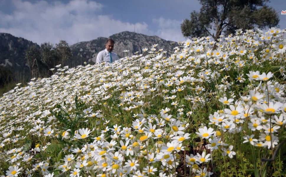 Kahramanmaraş’ta Son Cemre Toprağa Düştü
